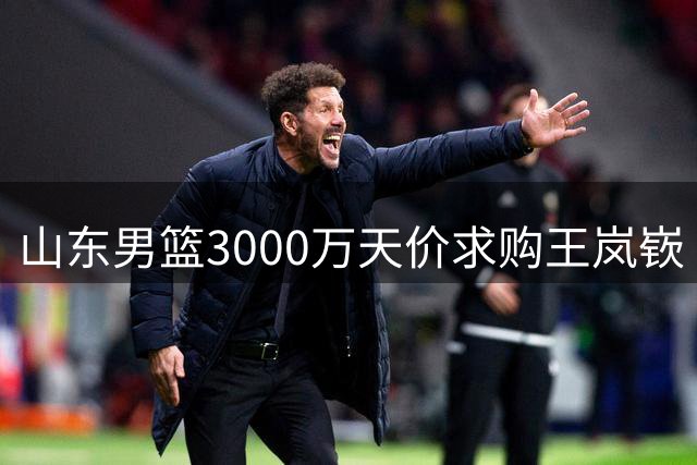 山东男篮3000万天价求购王岚嵚 转会僵局待破冰