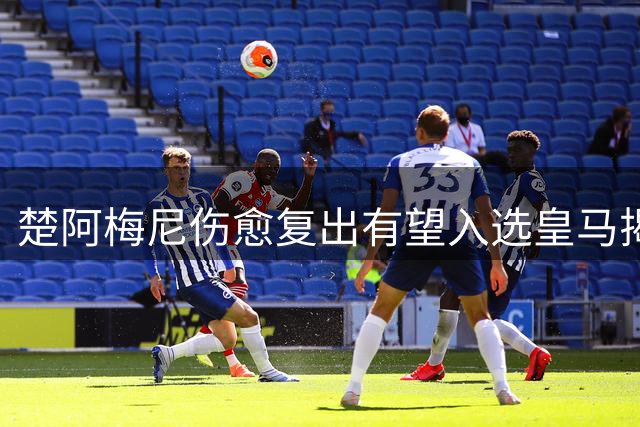 楚阿梅尼伤愈复出有望入选皇马揭幕战大名单