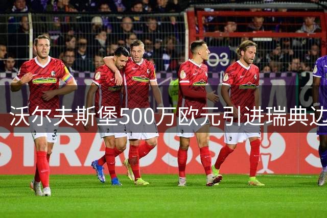 沃尔夫斯堡500万欧元引进瑞典边锋伯恩哈德松