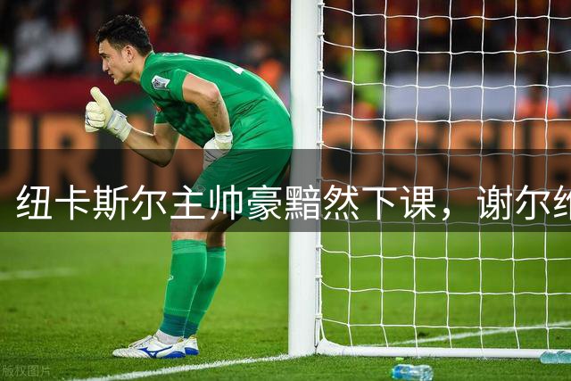 纽卡斯尔主帅豪黯然下课，谢尔维力挺也无济于事